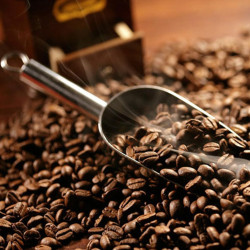 Stainless Steel Scoop XL